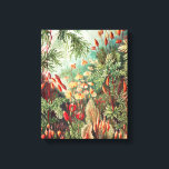 Lienzo Mosses, muscinae Laubmoose por Ernst Haeckel<br><div class="desc">Mosses,  muscinae Laubmoose por Ernst Haeckel Canvas Print</div>