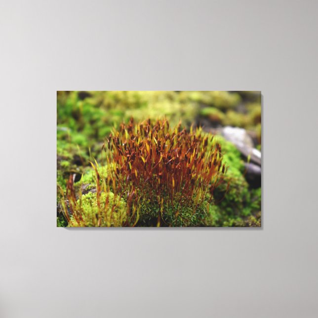 Lienzo Mossos (Anverso)