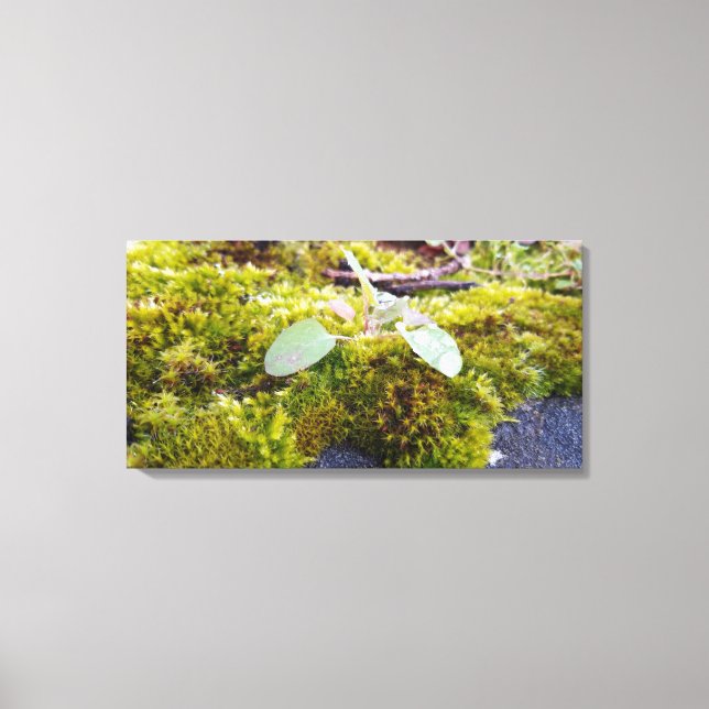 Lienzo Mossos (Anverso)