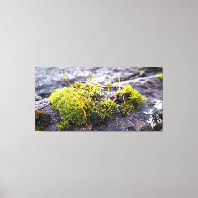 Lienzo Mossos (Anverso)