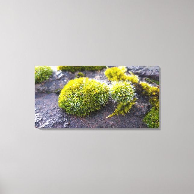 Lienzo Mossos (Anverso)