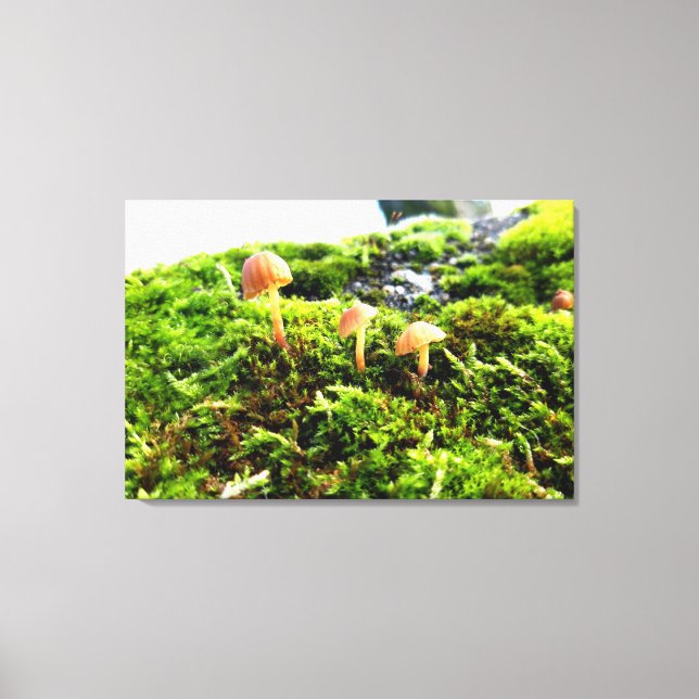 Lienzo Mossos y licores con hongos diminutos (Anverso)