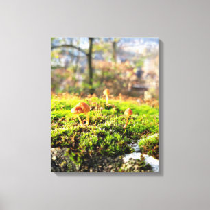 Lienzo Mossos y licores con hongos diminutos