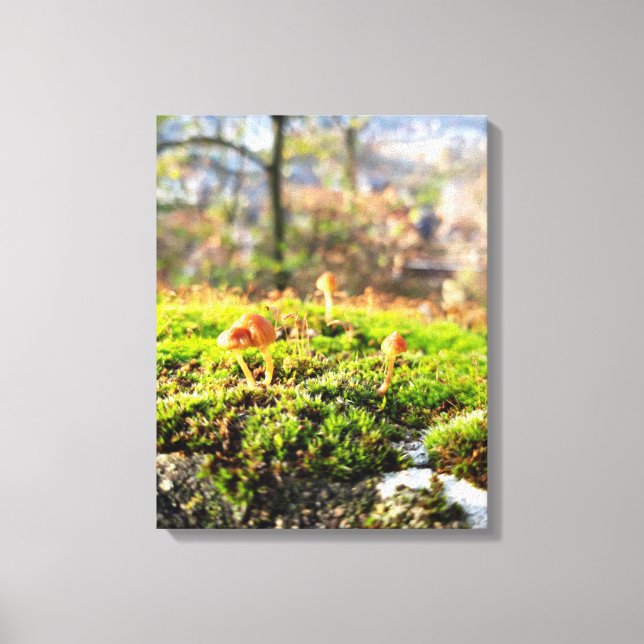 Lienzo Mossos y licores con hongos diminutos (Anverso)