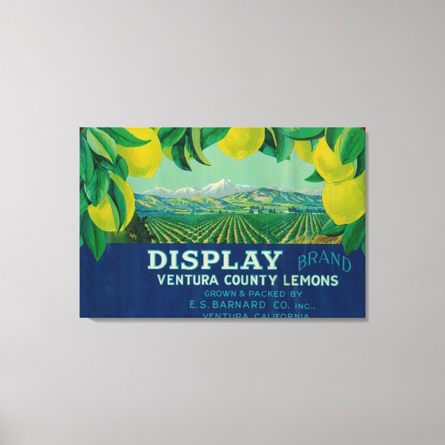 Lienzo Mostrar Lemon LabelVentura, CA (Anverso)