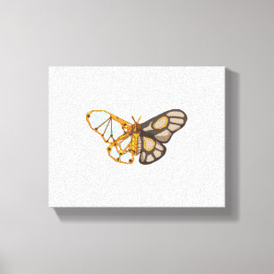 Lienzo Moth Butterfly Dragonfly Insect