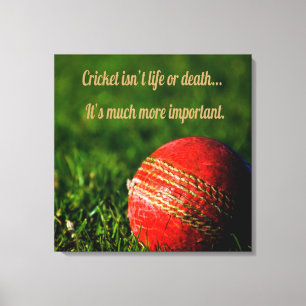 Lienzo Motivación divertida del cricket Red Ball