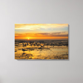 Lienzo Möwen im Sonnenuntergang