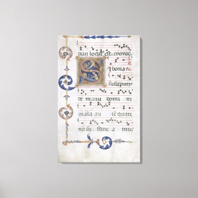 Lienzo Ms 564 f.13v Página con la descripción 'S' inicial (Anverso)