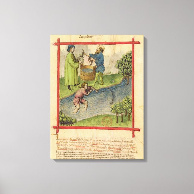 Lienzo Ms Lat 9333 f.82 Pesca de anguilas, de 'Tacuinum (Anverso)