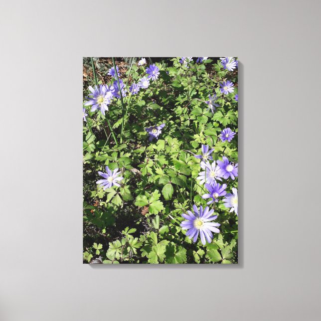Lienzo Muchas flores (Anverso)