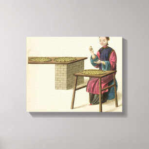 Lienzo Mujer preparando té, plato 21 de 'El disfraz'