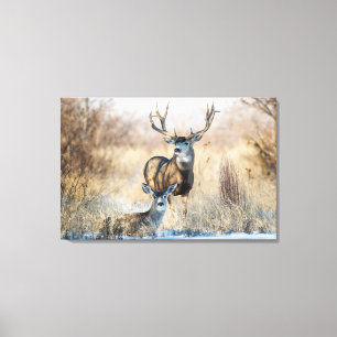 Lienzo Mule Deer Buck and Doe