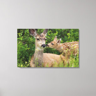 Lienzo Mule Deer Doe con Fawn