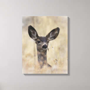 Lienzo Mule Deer Fawn