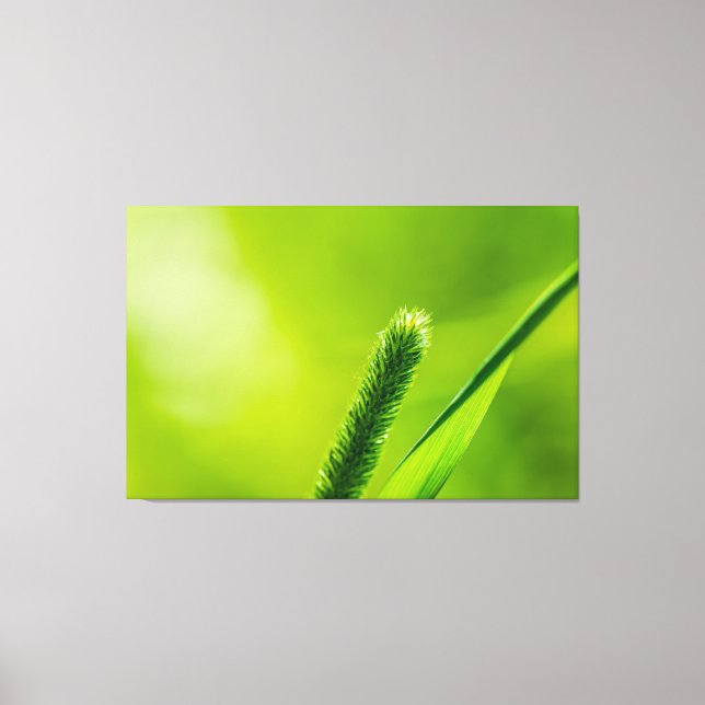 Lienzo Mundo Verde (Anverso)