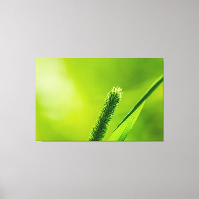 Lienzo Mundo Verde (Anverso)