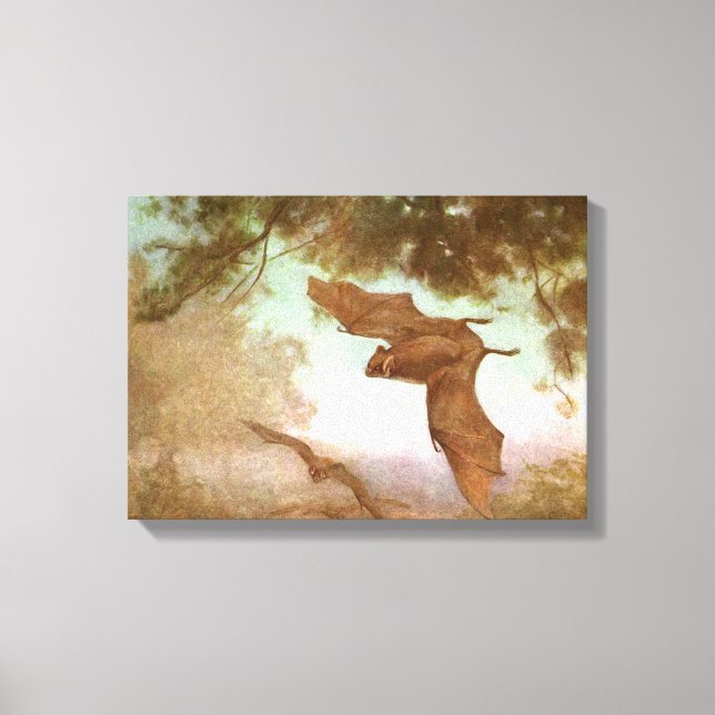 Lienzo Murciélagos Vampiros por CE Swan, Animales Salvaje (Anverso)