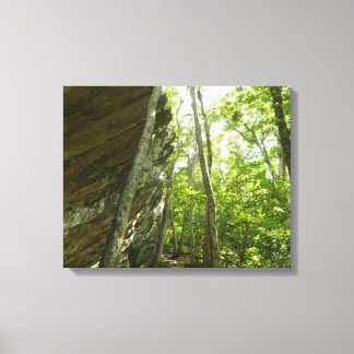 Lienzo Muro de roca Frazier en el Parque Nacional Shenand