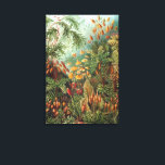 Lienzo Muscinae vintage, plantas de musgo por Ernst Haeck<br><div class="desc">Ilustración vintage de la naturaleza con diseño botánico por Ernst Haeckel. Una variedad de musgos coloridos,  hierbas y otras plantas tropicales exóticas en una selva tropical.</div>