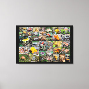 Lienzo Mushroom Planet - Montgomery County PA