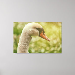 Lienzo Mute Swan