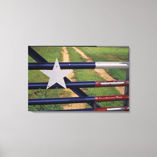 Lienzo N.A., EE. UU., Texas, lago Buchanan, bandera de Te (Anverso)