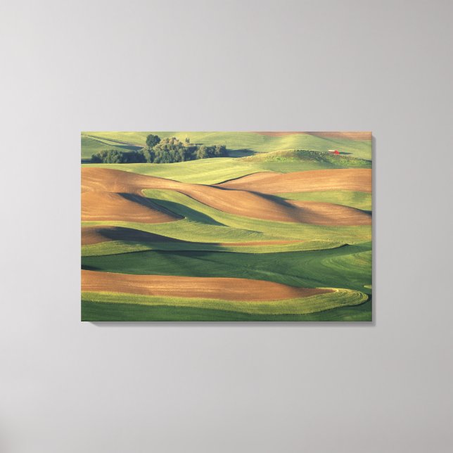 Lienzo N.A., EE.UU., Washington, Condado de Whitman. (Anverso)