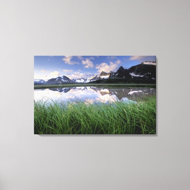 Lienzo NA, Canadá, Alberta, Tonquin Valley. Jasper (Anverso)