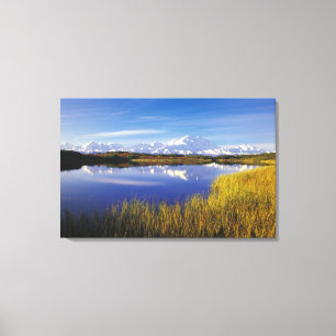 Lienzo NA, EE.UU., Alaska, Denali NP Mt. McKinley en
