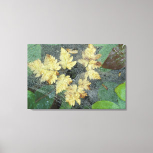 Lienzo NA, EE.UU., Alaska, Lago Nancy. Harto de araña