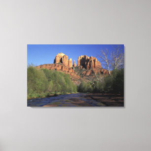 Lienzo NA, EE. UU., Arizona, Sedona. Cathedral Rock y Oak