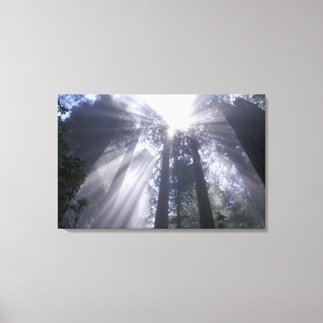 Lienzo NA, EE.UU., California. Estado costero del Norte 2 (Anverso)