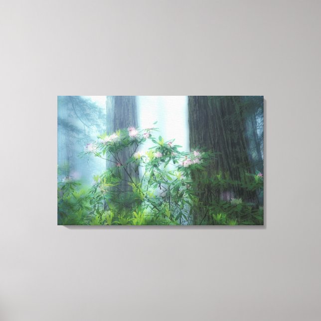 Lienzo NA, EE.UU., California, Estado de las secuoyas del (Anverso)