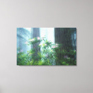 Lienzo NA, EE.UU., California, Estado de las secuoyas del