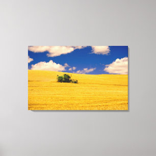 Lienzo NA, EE.UU., Estado de Washington, región de Palou