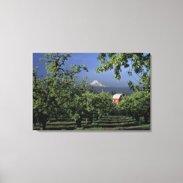 Lienzo NA, EE.UU., Oregón, cerca del río Hood Mt. Hood co (Anverso)