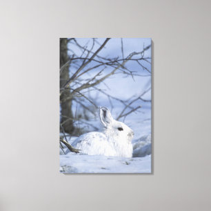 Lienzo NA, EEUU, Alaska. Vida silvestre nacional en el Ár