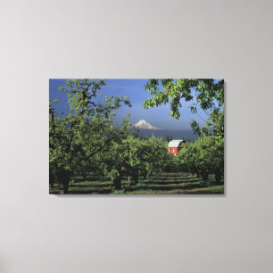 Lienzo NA, los E.E.U.U., Oregon, cerca de la capilla de