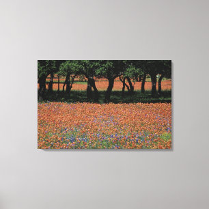 Lienzo NA, Texas, Texas Hill Country, Buchan Dam,