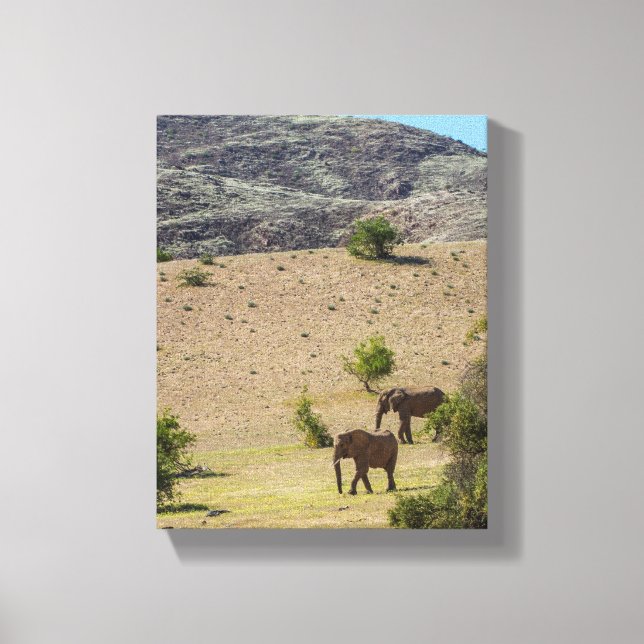 Lienzo Namibia África Huab Río Elephant Damaraland (Anverso)