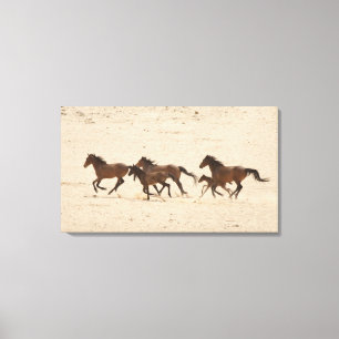 Lienzo Namibia, Aus. Grupo de caballos salvajes corriendo