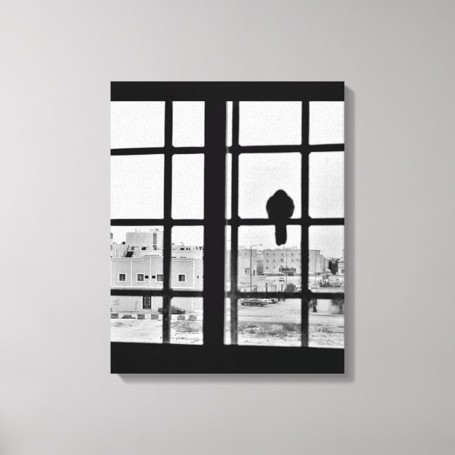 Lienzo Napping Dove (Anverso)