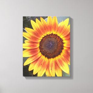 Lienzo Naranja Amarillo Girasol Vela envuelta