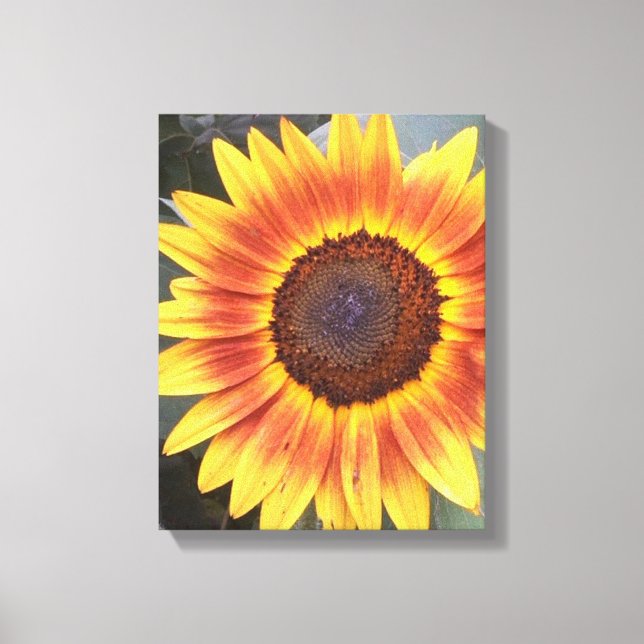 Lienzo Naranja Amarillo Girasol Vela envuelta (Anverso)