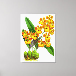 Lienzo Naranja Amarillo Vintage Flor Orquídea - Imprimir