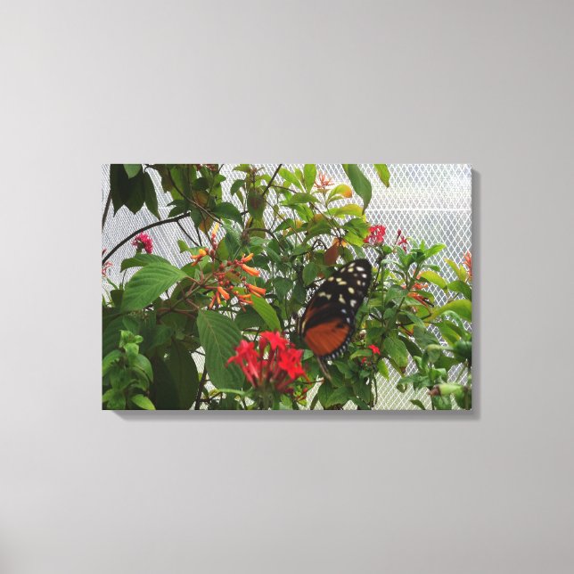 LIENZO NARANJA BUTTERFLY (Anverso)