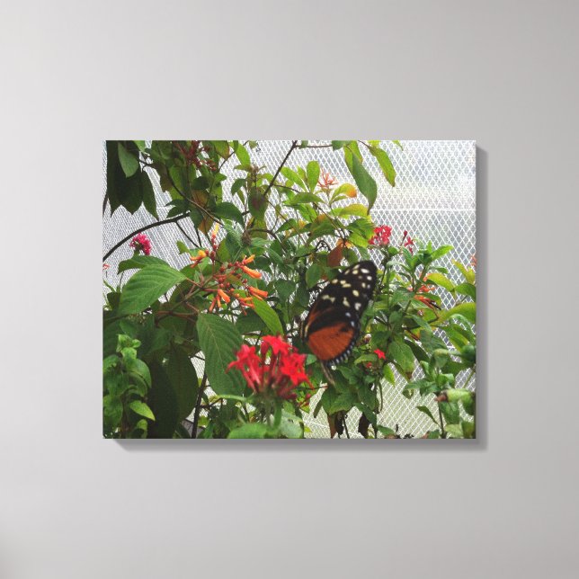 LIENZO NARANJA BUTTERFLY (Anverso)