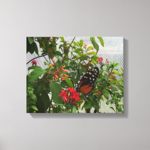 LIENZO NARANJA BUTTERFLY