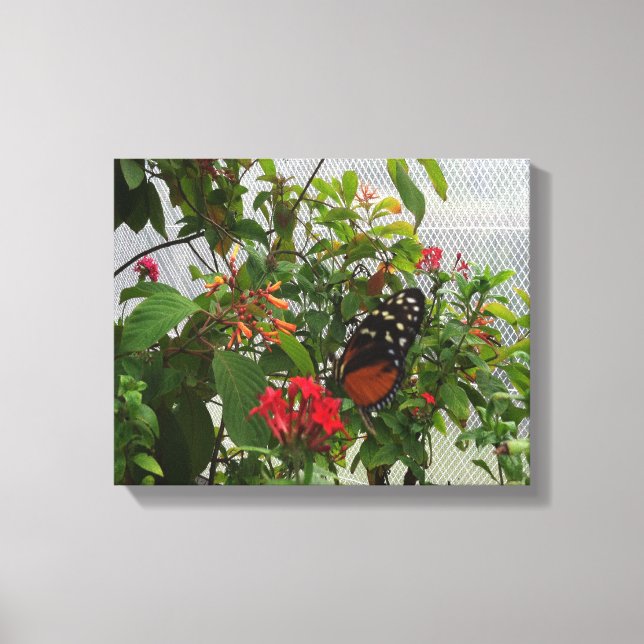 LIENZO NARANJA BUTTERFLY (Anverso)